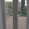 Photo 7: garden area