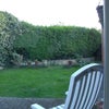 Photo 5: The back garden