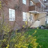 Photo 5: Balcony & garden
