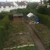 Photo 7: Garden