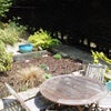 Photo 6: Garden