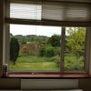Photo 8: View from bedroom