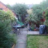 Photo 2: The Hairy Garden of Babylon