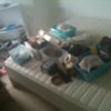 Photo 5: Excuse the mess - current lodgers bits