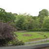 Photo 4: view from room of park opposite