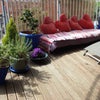 Photo 4: Terrace