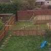 Photo 4: The garden 