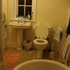Photo 4: rolltop bath and shower