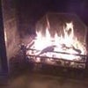 Photo 2: Warm as toast