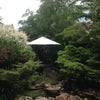 Photo 5: Nice garden to relax in