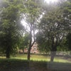 Photo 5: Private resident gardens