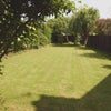 Photo 7: Back garden from available room