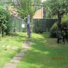Photo 8: More of garden