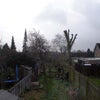 Photo 4: Window view