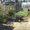 Photo 3: Garden (will look better in the summer)