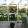 Photo 4: The conservatory