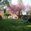 Photo 2: The Garden