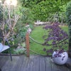 Photo 8: Garden
