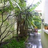Photo 9: Enclosed Garden