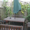 Photo 5: The garden