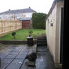 Photo 5: garden