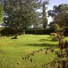 Photo 5: The Garden