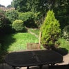 Photo 4: Garden