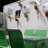 Photo 7: Garden