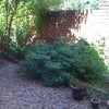 Photo 4: Cool in the shade!