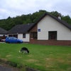 Photo 4: Garden and driveway