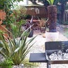 Photo 5: Garden
