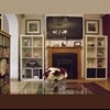 Photo 4: Living Room