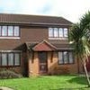 Photo 1: Front garden