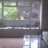 Photo 3: Lounge - looking North