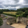 Photo 5: view from spareroom window