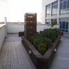 Photo 7: Shared top floor terrace