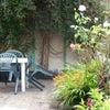 Photo 3: GARDEN