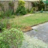 Photo 3: Back Garden