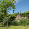 Photo 2: The garden