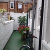 Photo 7: Back yard