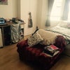 Photo 3: Bedroom View