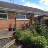 Photo 4: Garden