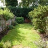 Photo 5: South facing garden