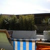 Photo 3: back garden