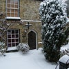 Photo 5: Front of Cottage