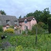 Photo 2: Large garden