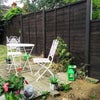 Photo 6: Garden