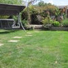 Photo 5: Garden