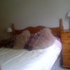 Photo 5: Another view of bedroom - apologies but couldn't get a decent angle for these shots!