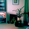 Photo 3: large living room